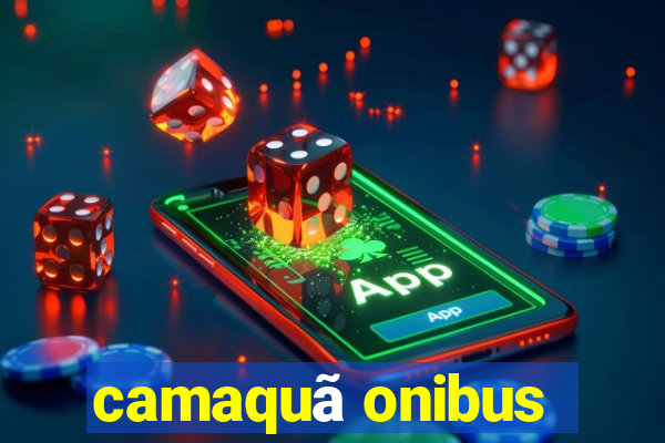 camaquã onibus