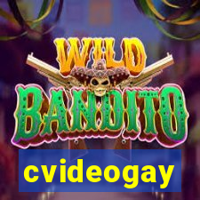 cvideogay