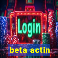 beta actin