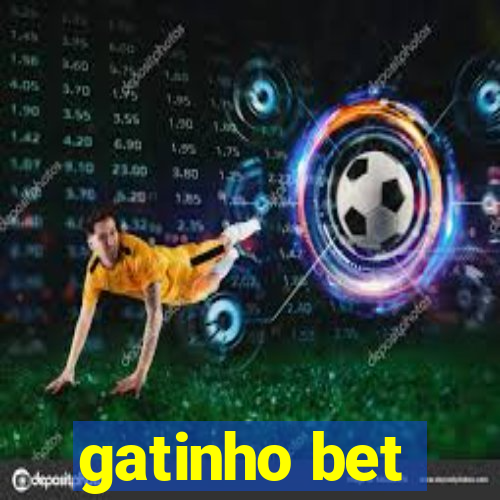 gatinho bet