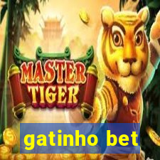 gatinho bet