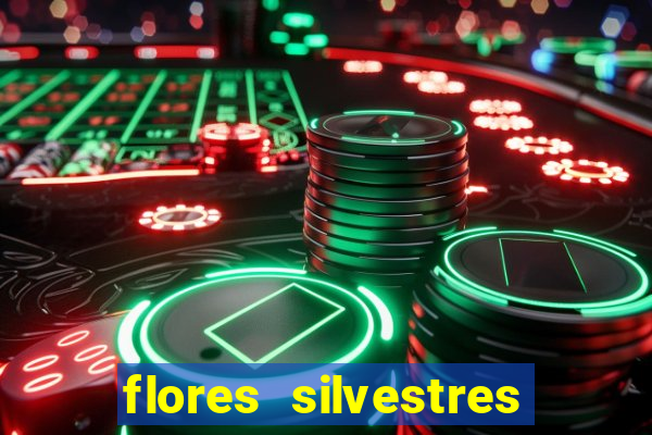 flores silvestres desbravadores desbravadores 25 flores silvestres e seus nomes