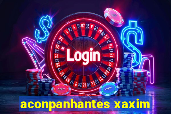 aconpanhantes xaxim