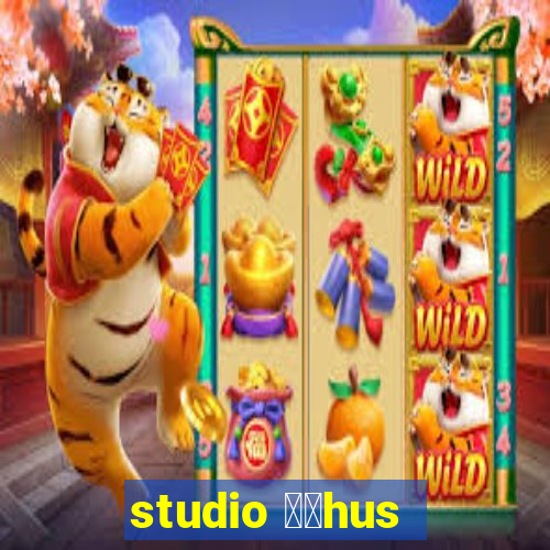 studio 姘搑hus