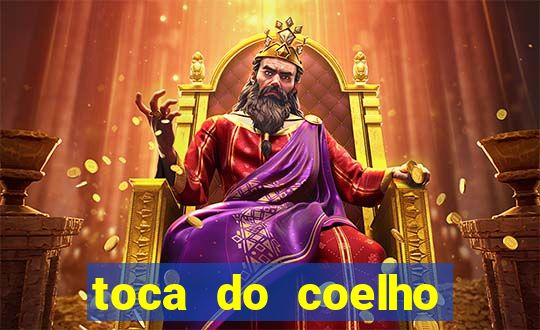 toca do coelho mogi das cruzes