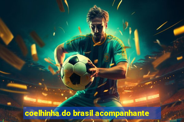 coelhinha do brasil acompanhante