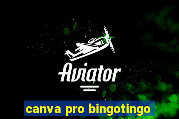 canva pro bingotingo