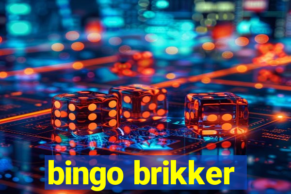 bingo brikker