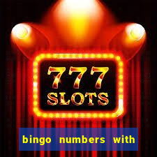 bingo numbers with highest probability