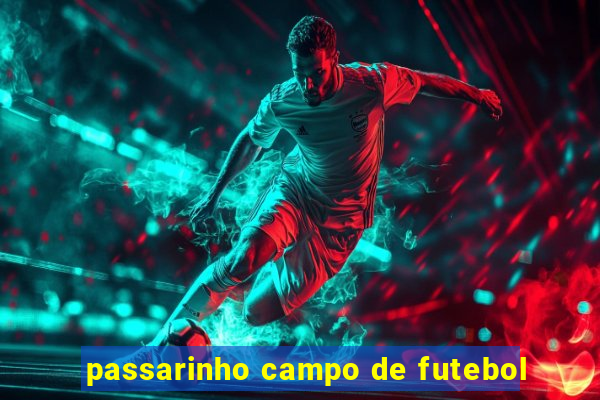 passarinho campo de futebol