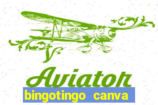 bingotingo canva pro gratis