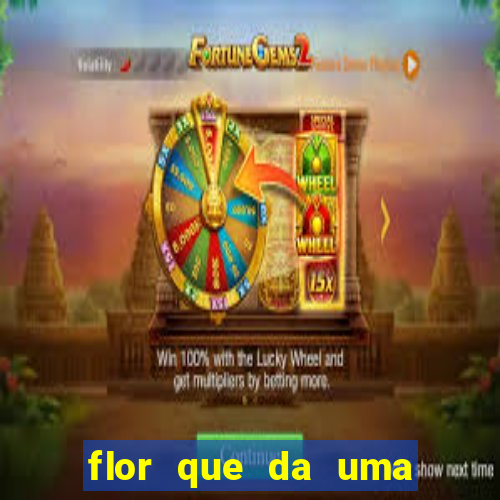 flor que da uma vez no ano