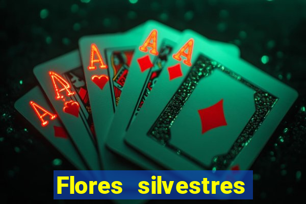 Flores silvestres brasileiras brasileiras flores silvestres nomes e imagens