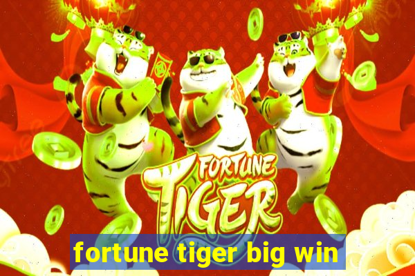 fortune tiger big win