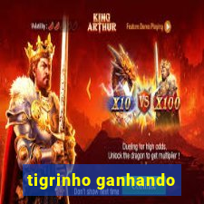 tigrinho ganhando