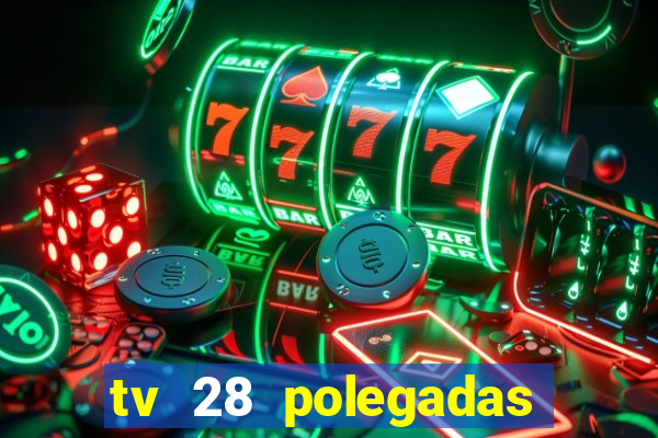 tv 28 polegadas casas bahia