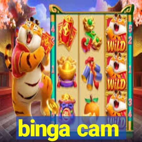 binga cam