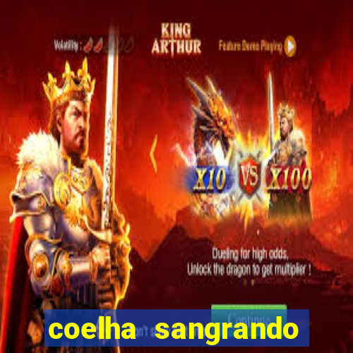 coelha sangrando pela parte intima