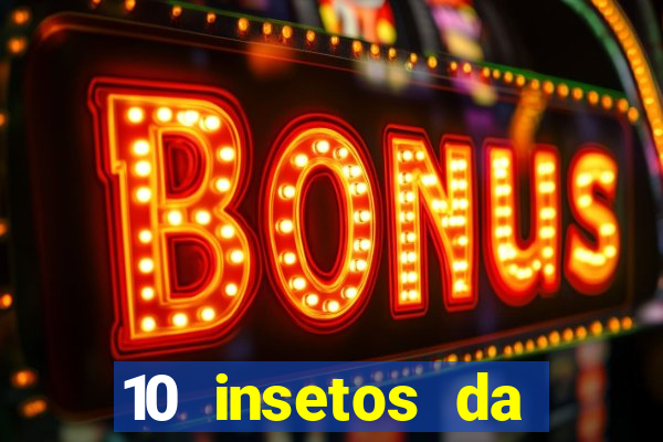 10 insetos da região sudeste