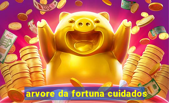 arvore da fortuna cuidados