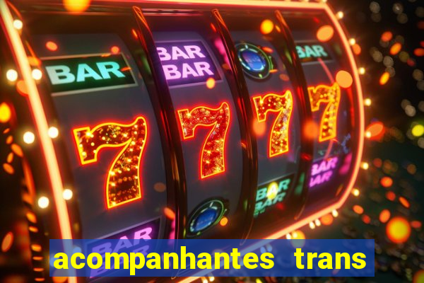 acompanhantes trans baixada fluminense