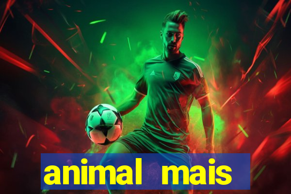 animal mais barulhento do mundo 230 decibeis