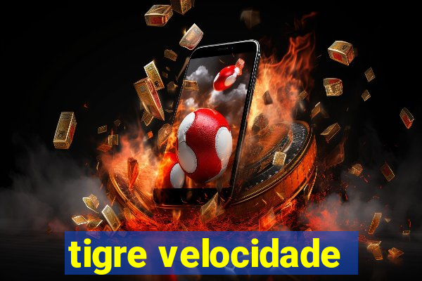 tigre velocidade