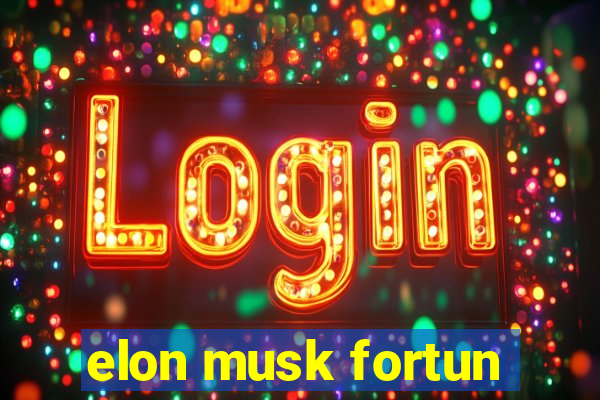 elon musk fortun