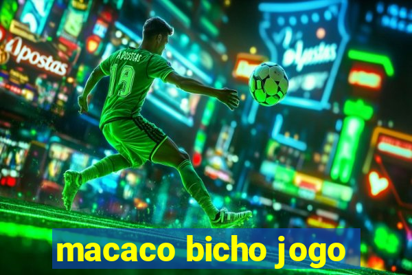 macaco bicho jogo