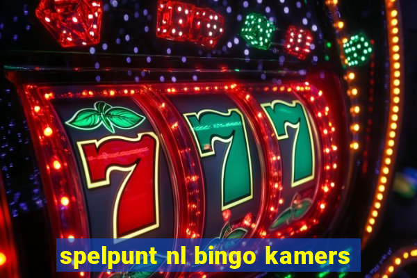 spelpunt nl bingo kamers