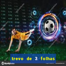 trevo de 3 folhas significado espiritual