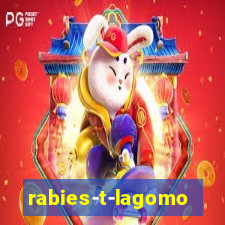 rabies-t-lagomorph