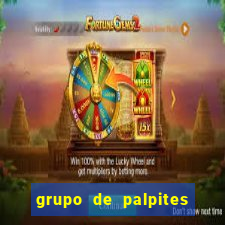 grupo de palpites de futebol telegram