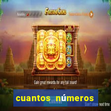 cuantos números tiene el bingo