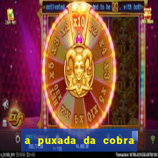 a puxada da cobra no jogo do bicho