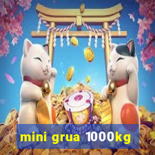 mini grua 1000kg