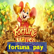 fortuna pay consultoria financeira ltda