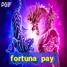 fortuna pay consultoria financeira ltda