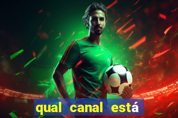 qual canal está passando o jogo do palmeiras