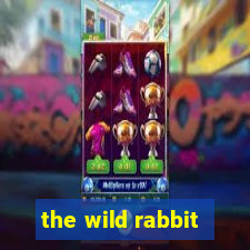 the wild rabbit