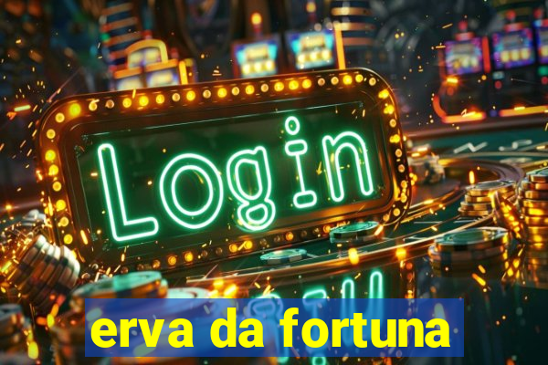 erva da fortuna