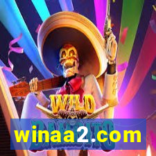 winaa2.com