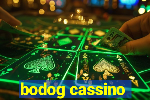 bodog cassino