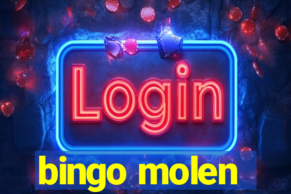 bingo molen