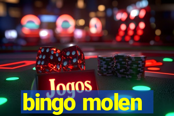 bingo molen