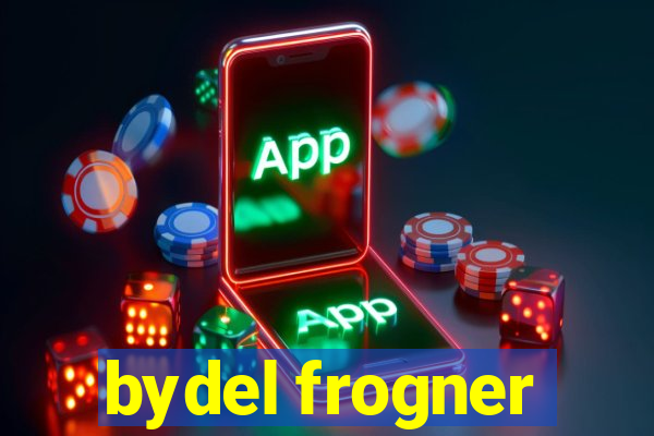 bydel frogner