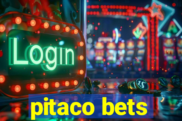 pitaco bets