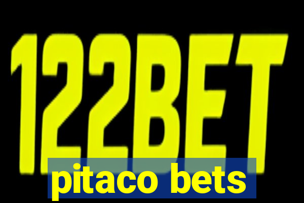 pitaco bets