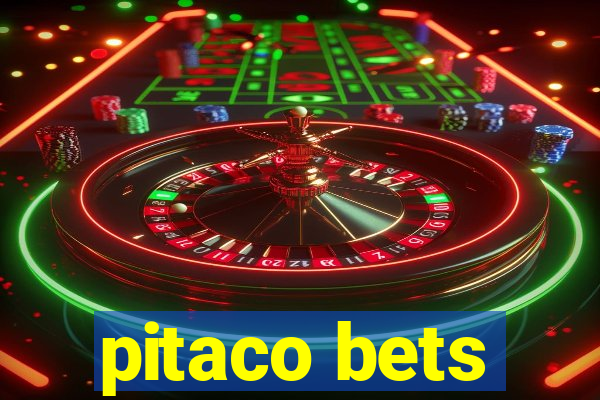 pitaco bets