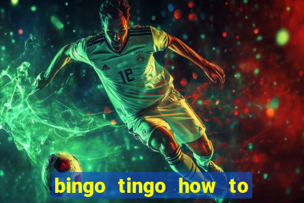 bingo tingo how to get canva pro